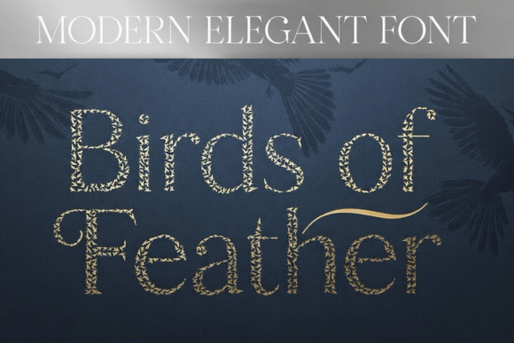 Birds of Feather: A Designer's Real-World Review