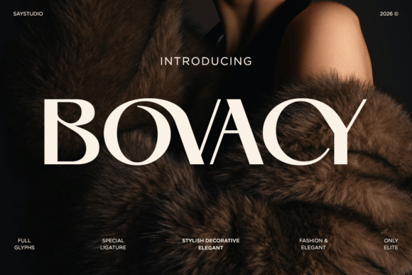 Bovacy: The Premium Serif Font for Modern Web Design