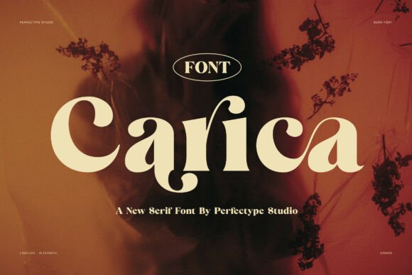 Carica Typeface: A Bold Serif for Modern Digital Branding