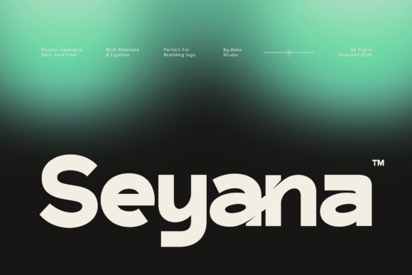 How Seyana Transformed My Brand Identity with a Premium Sans Serif Typeface