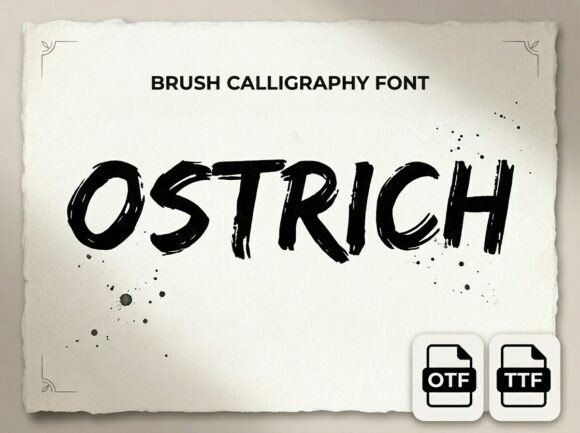 Ostrich: A Premium Display Font for Bold Web Design
